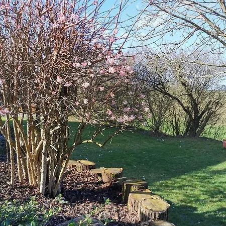 Ferienwohnung Auenland Braunfels Zewnętrze zdjęcie